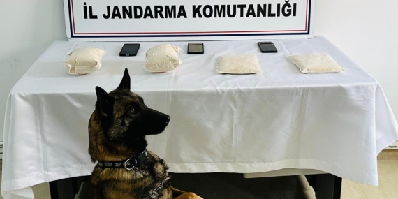 Batman’da Uyuşturucu Operasyonu: 1 Tutuklama