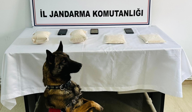 WhatsApp Image 2026-04-06 at 09.27.58