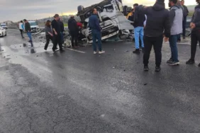 WhatsApp Image 2026-04-07 at 11.13.24