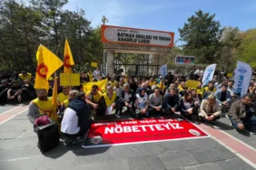 WhatsApp Image 2026-04-16 at 13.57.50 (1)