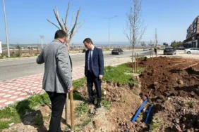 WhatsApp Image 2026-04-17 at 13.46.19 (1)