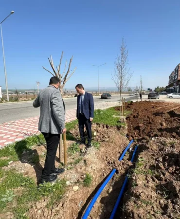 WhatsApp Image 2026-04-17 at 13.46.19 (1)