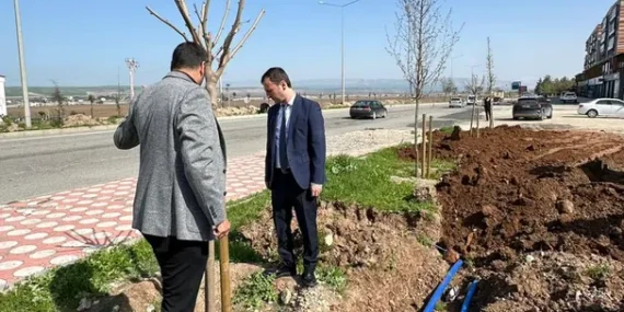 Batman – Kozluk yolunda 11 bin metrekarelik çimlendirme hedefi