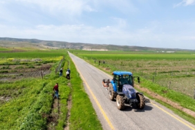 WhatsApp Image 2026-04-17 at 17.03.22