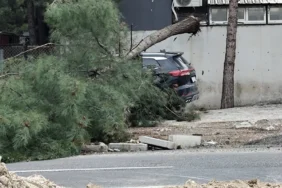 WhatsApp Image 2026-04-20 at 16.18.19 (1)