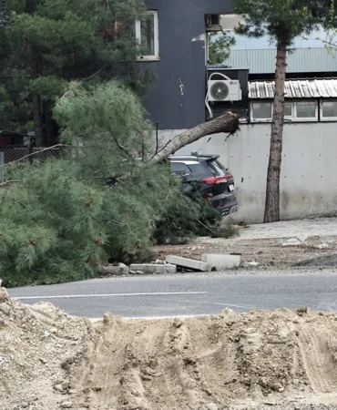 WhatsApp Image 2026-04-20 at 16.18.19 (1)