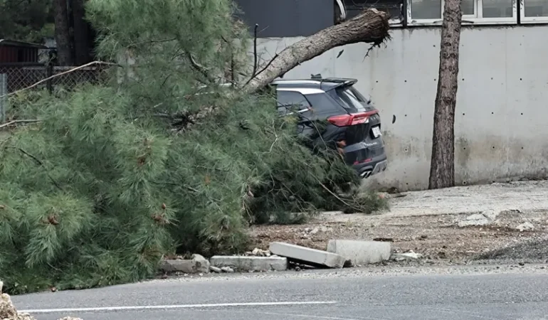 WhatsApp Image 2026-04-20 at 16.18.19 (1)