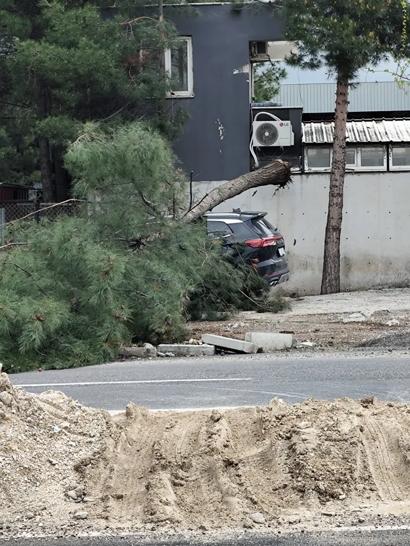 WhatsApp Image 2026-04-20 at 16.18.19 (1)