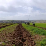 WhatsApp Image 2026-04-24 at 09.02.50