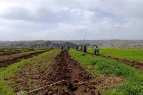 WhatsApp Image 2026-04-24 at 09.02.50