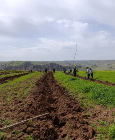 WhatsApp Image 2026-04-24 at 09.02.50