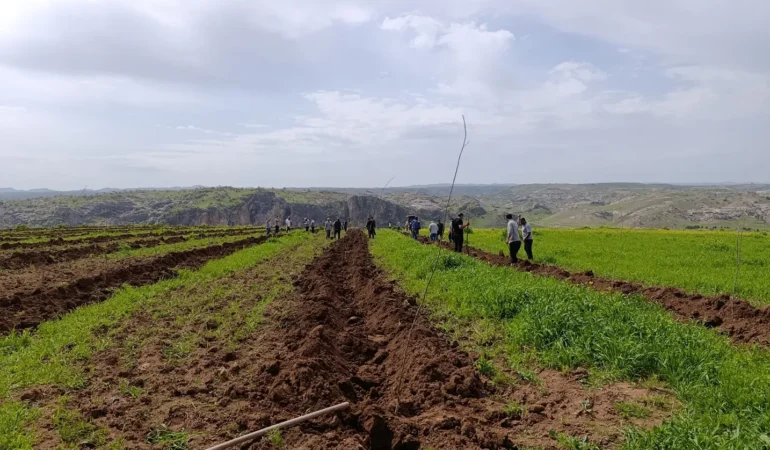 WhatsApp Image 2026-04-24 at 09.02.50