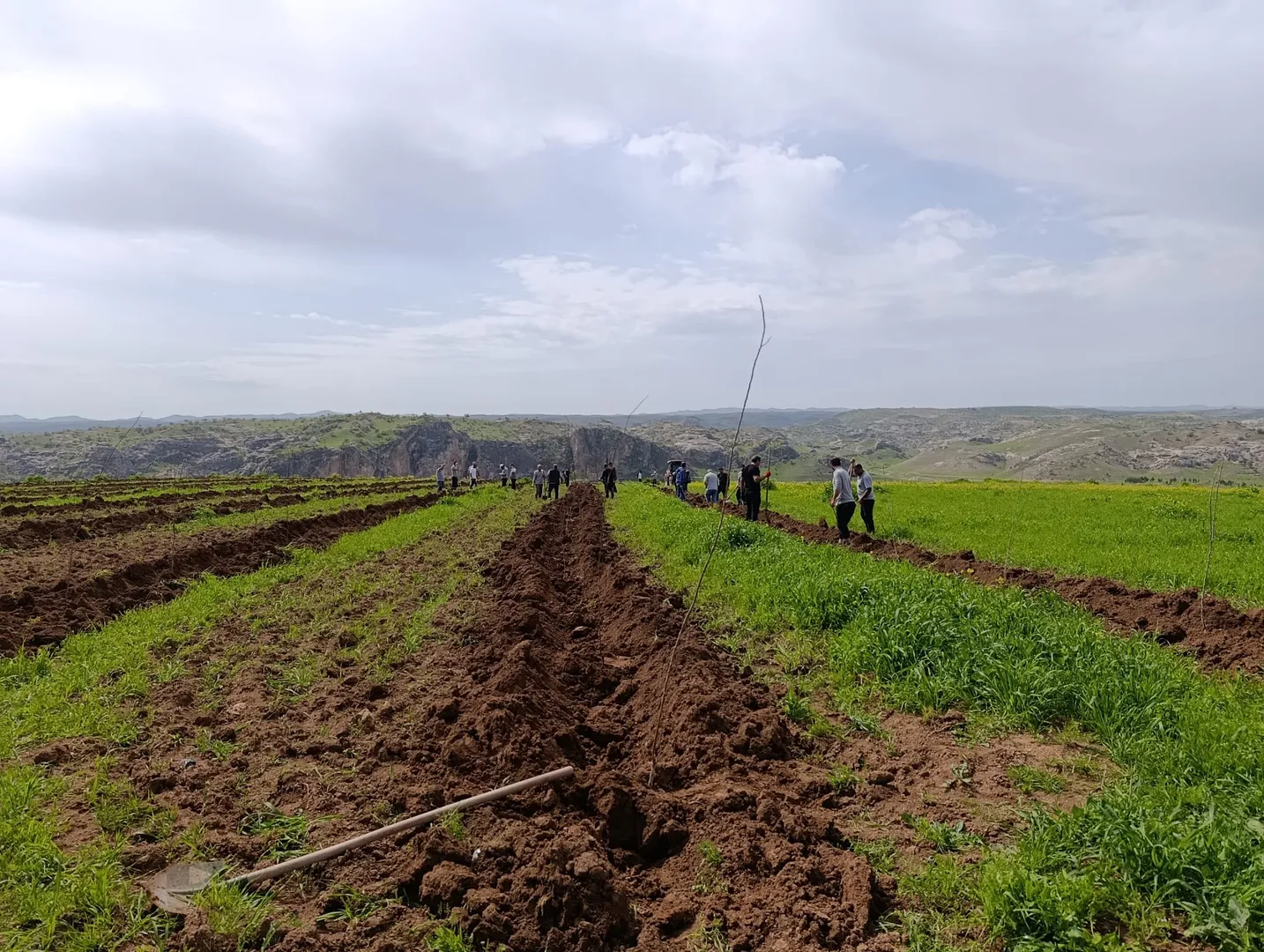 WhatsApp Image 2026-04-24 at 09.02.50