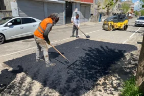 WhatsApp Image 2026-04-24 at 11.14.46