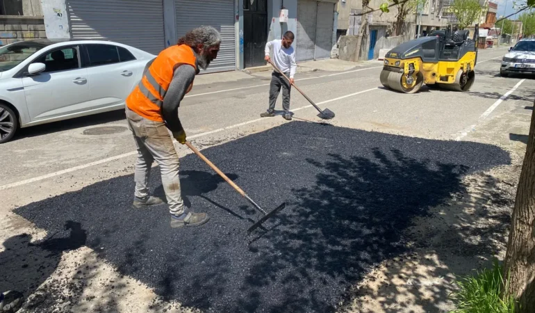 WhatsApp Image 2026-04-24 at 11.14.46