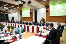 WhatsApp Image 2026-04-27 at 14.04.50