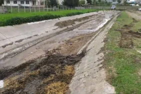 WhatsApp Image 2026-04-29 at 09.13.09 (2)