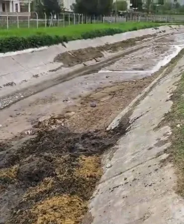 WhatsApp Image 2026-04-29 at 09.13.09 (2)