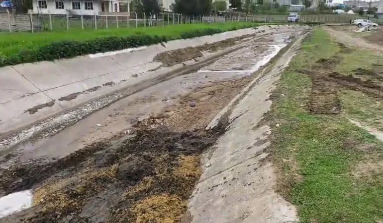 WhatsApp Image 2026-04-29 at 09.13.09 (2)