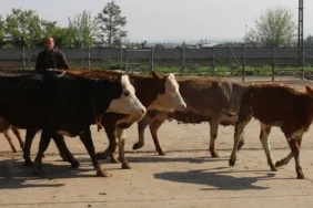 WhatsApp Image 2026-04-30 at 10.33.34