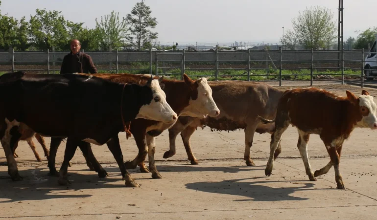 WhatsApp Image 2026-04-30 at 10.33.34