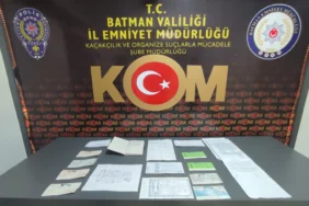 d661e431-f5bf-4a83-a485-e32575f69d9f