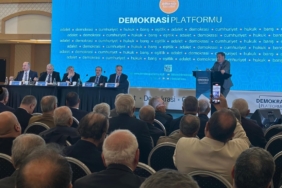 demokrasi platformu