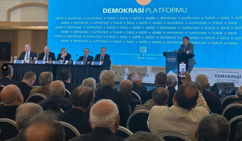 demokrasi platformu