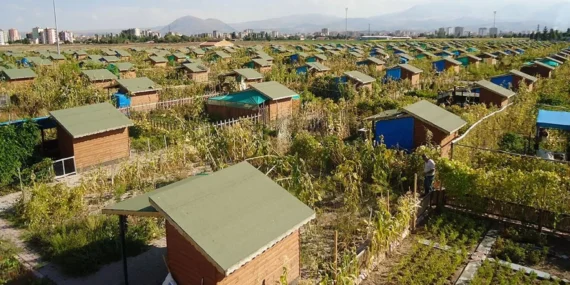 Hobi bahçeleri… Villalar yıkılacak, tarıma izin verilecek
