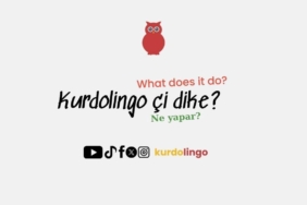kurdolingo