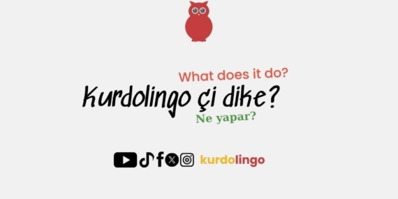Kürtçe öğreniminde yapay zeka dönemi: Kurdolingo yayında