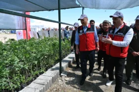Ekran görüntüsü 2026-05-07 135718