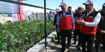 Ekran görüntüsü 2026-05-07 135718