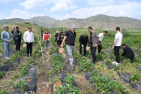 Ekran görüntüsü 2026-05-12 100412