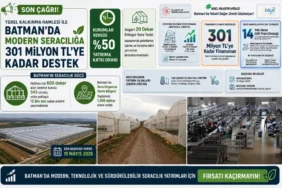 Ekran görüntüsü 2026-05-12 120331