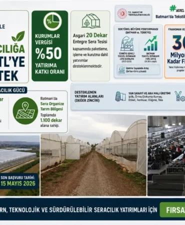 Ekran görüntüsü 2026-05-12 120331