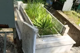 Ekran görüntüsü 2026-05-12 164007