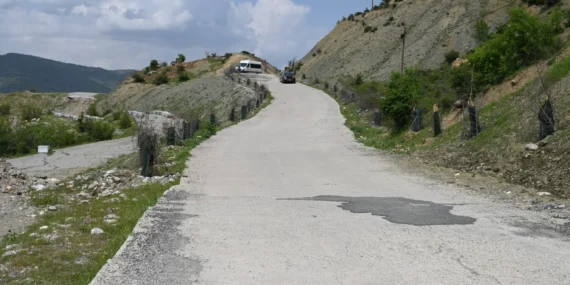 Batman – Sason’da Yol Kenarlarına İncir ve Elma Ağaçları Dikildi