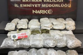 uyuşturcu skunk