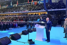 devlet bahçeli ülkücüler