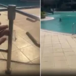 AB'de her beş yeni araçtan biri elektrikli thumbnail