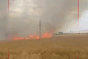 Adsız