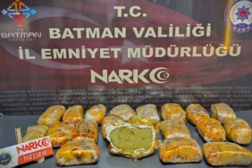 Ekran görüntüsü 2026-06-06 133445