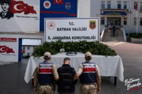 Ekran görüntüsü 2026-06-08 103023