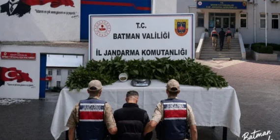 Batman jandarmasından kenevir operasyonu