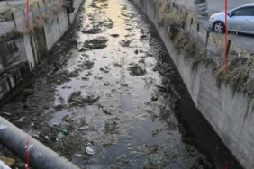 Ekran görüntüsü 2026-06-10 122518