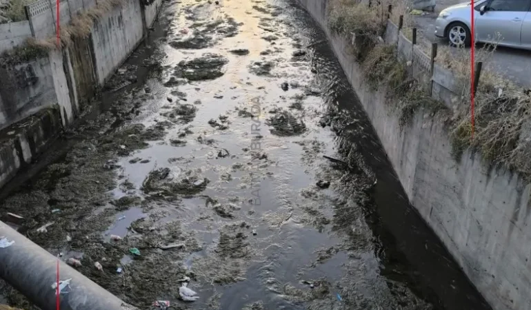 Ekran görüntüsü 2026-06-10 122518