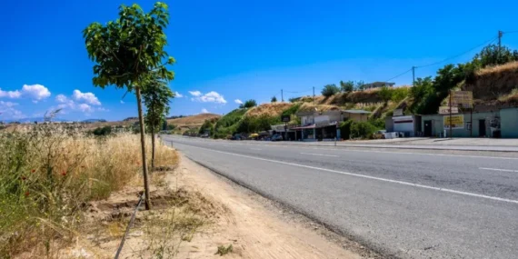 Batman – Samanyolu Köyü Sakinlerinden Yeşil Kuşak Projesi’ne Destek