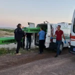 İran 800 kişiyi idam etti: En çok idam edilen Kürtler oldu thumbnail