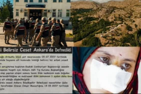 Ekran görüntüsü 2026-07-01 154555